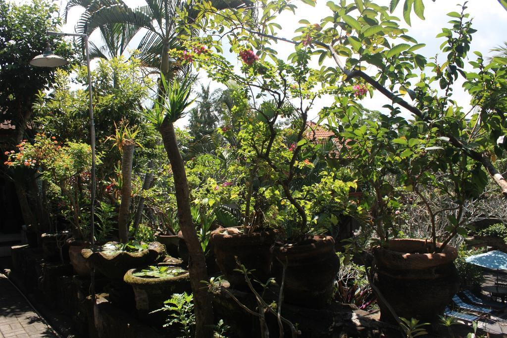 אובוד Raditia Homestay מראה חיצוני תמונה